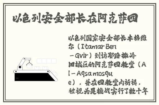 《年轻的小婊孑2》